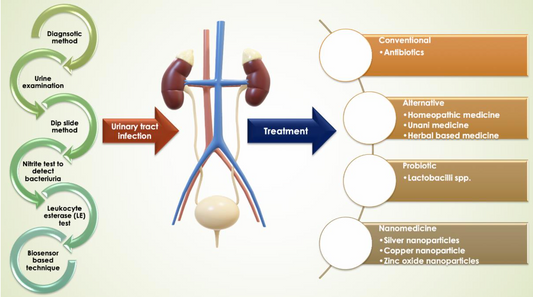 TRATAMIENTO COMPLEMENTARIO DE INFECCIONES URINARIAS