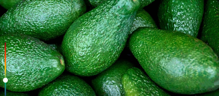 fortalece tu corazon consumiendo aguacate