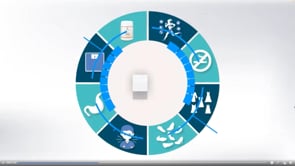 El gel lipopreductor anticelulítico Phytocare slimming gel reduce el grosor del tejido adiposo y reduce la celulitis.