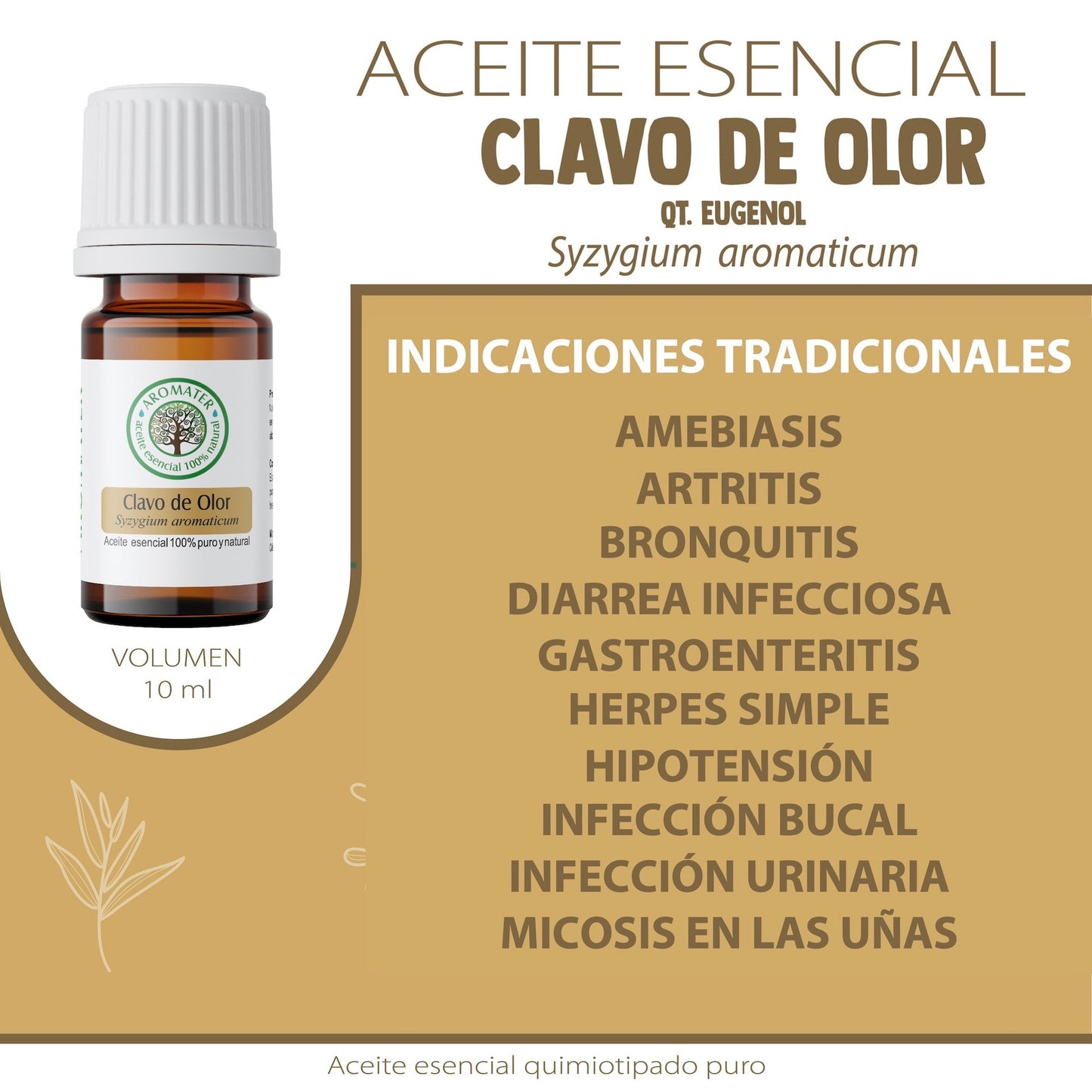 Aceite esencial de Clavo de olor (Syzygium aromaticum) es tradicionalmente usado para: mejorar disfunción erectil; antiinflamatorio: artritis y reumatismo; antibiótico: sinusitis, bronquitis, gastroenteritis, infeccion intestinal y urinaria; micosis cutanea y ungueal; antiparasitario: malaria, paludismo y como antioxidante.